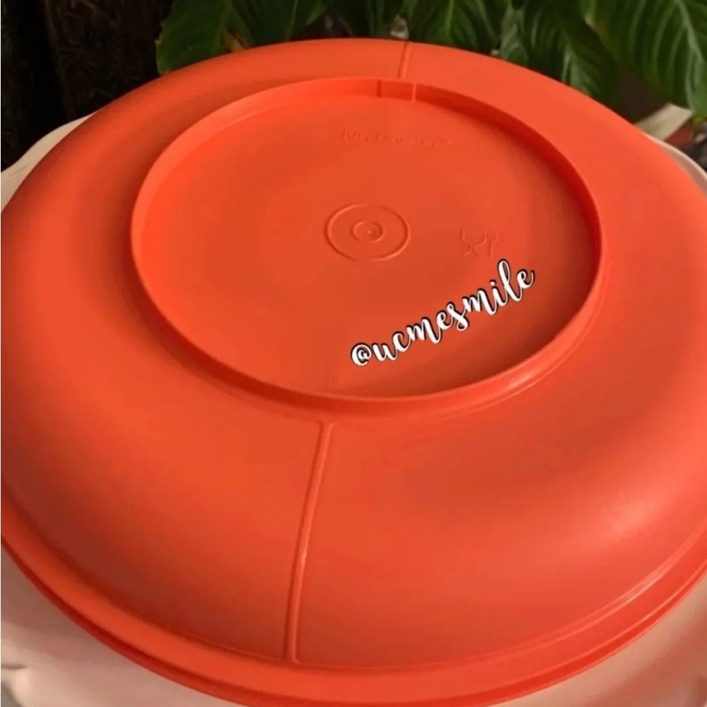 Tupperware Vegetable Snack Tray - Picture 3 of 5